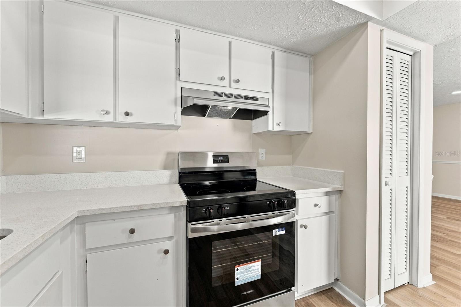 Single Family Residence at 15805 COUNTRY LAKE DR, TAMPA, photo 21 of 55