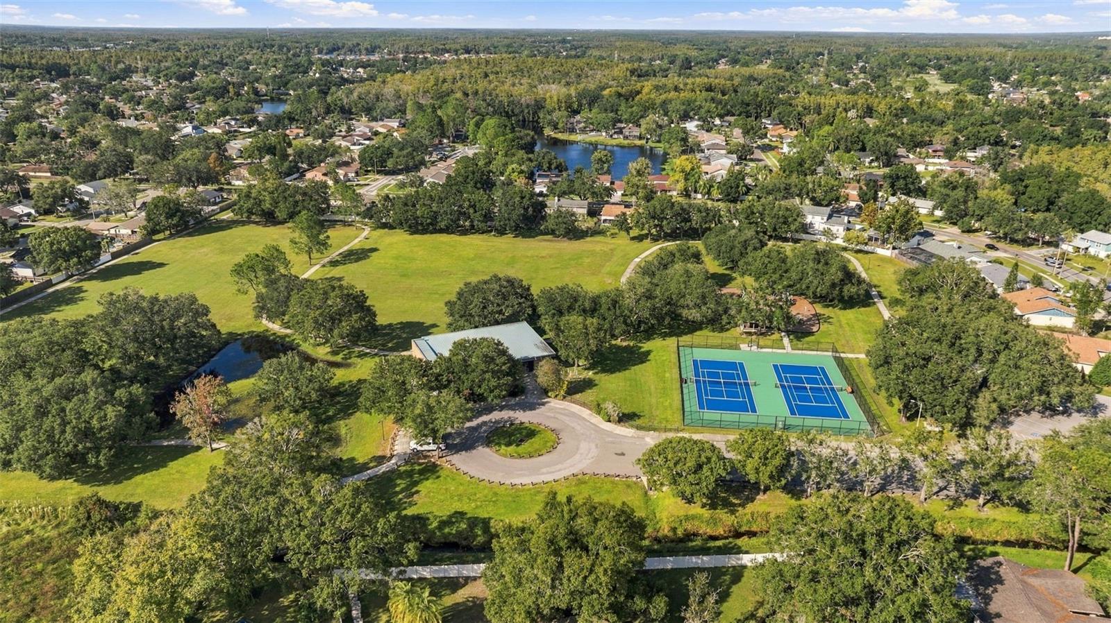 Single Family Residence at 15805 COUNTRY LAKE DR, TAMPA, photo 54 of 55