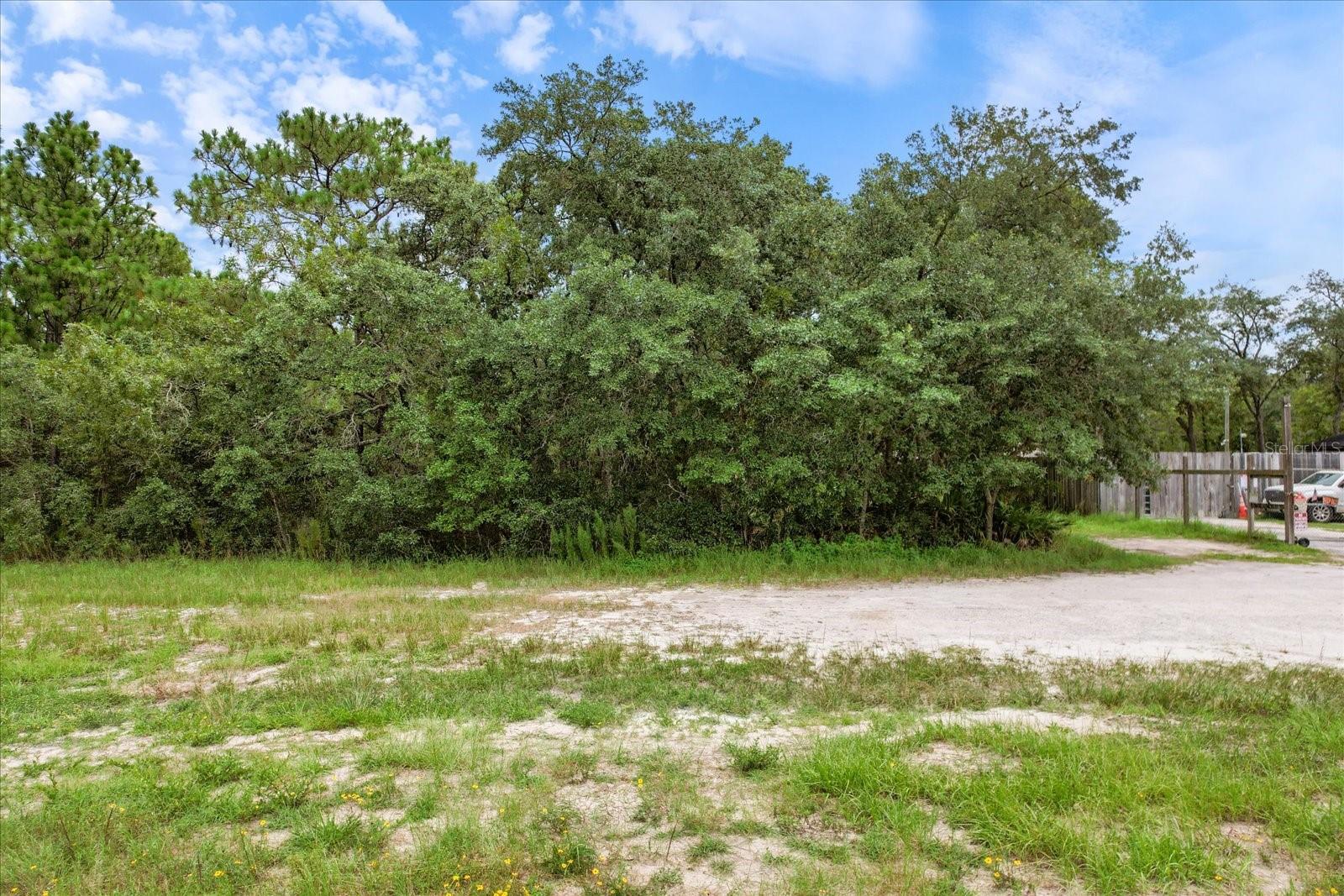 Land at 17192 NICASIO JAY AVE, BROOKSVILLE, photo 10 of 17