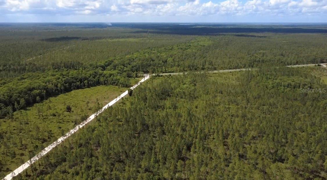 Land at WILD CUR RD, PIERSON, photo 2 of 14