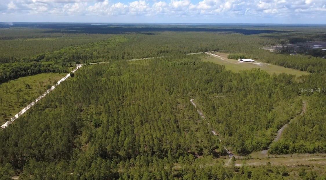 Land at WILD CUR RD, PIERSON, photo 4 of 14