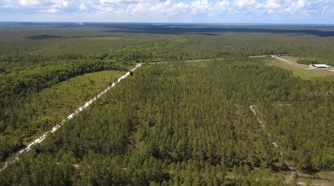 Land at WILD CUR RD, PIERSON, photo 6 of 14