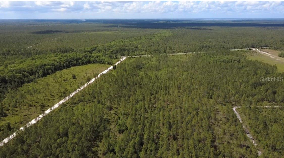 Land at WILD CUR RD, PIERSON, photo 8 of 14