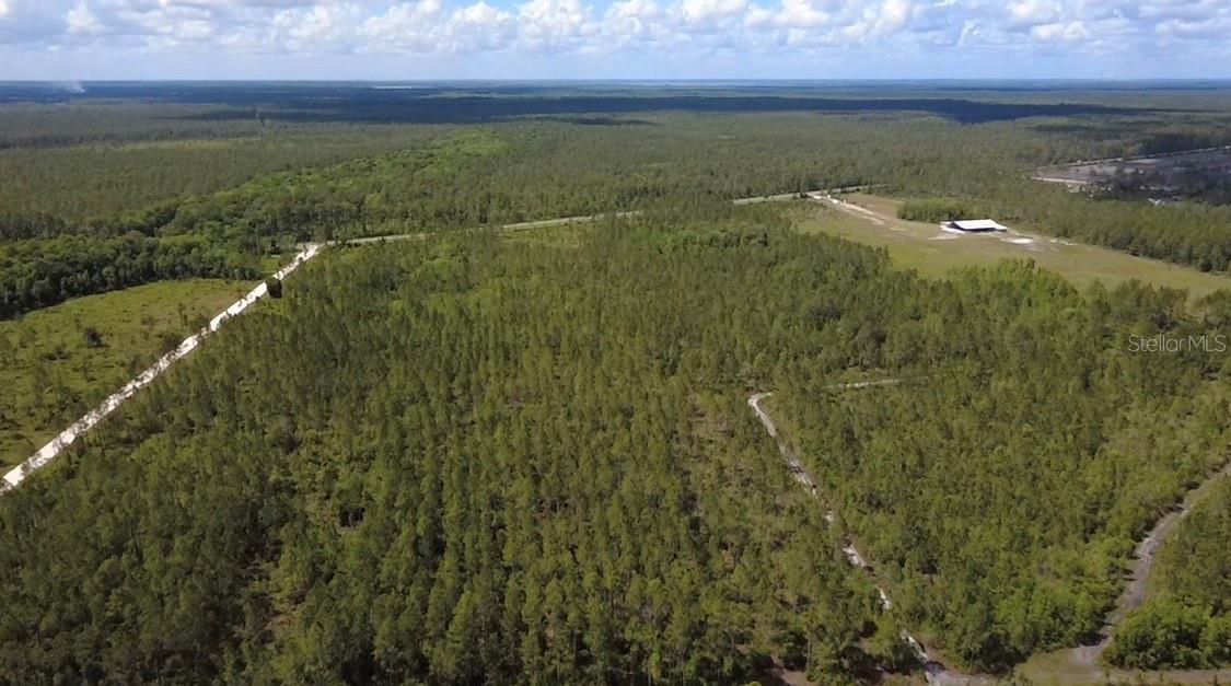 Land at WILD CUR RD, PIERSON, photo 10 of 14