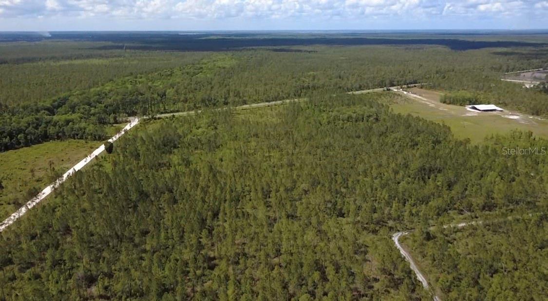 Land at WILD CUR RD, PIERSON, photo 12 of 14