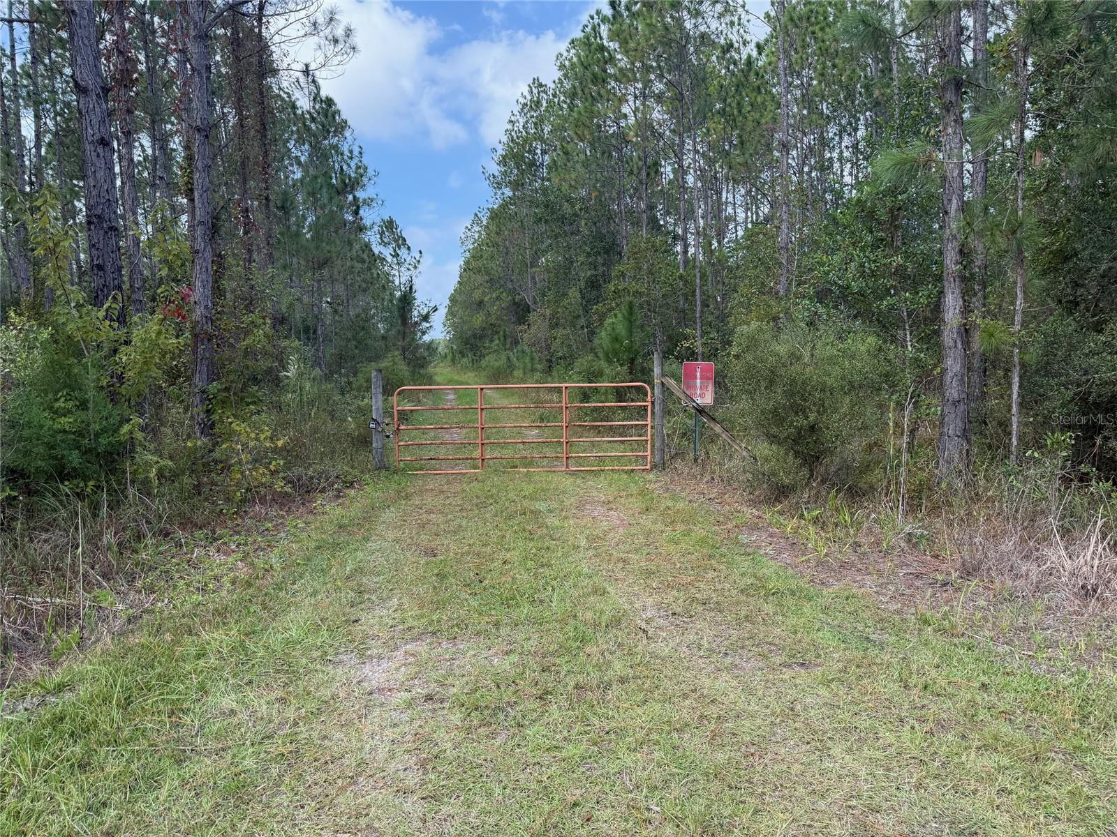 Land at WILD CUR RD, PIERSON, photo 13 of 14