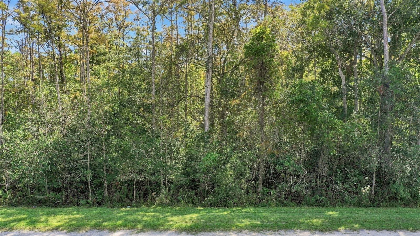 Land at ROBERTSON ST, ORLANDO, photo 3 of 31