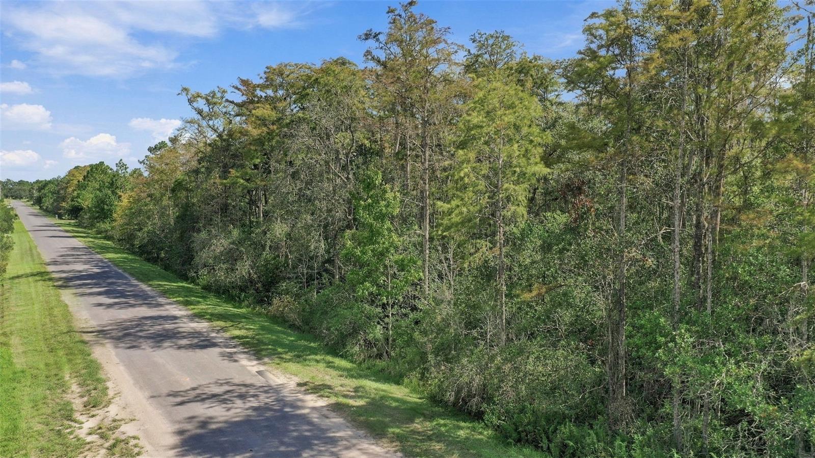 Land at ROBERTSON ST, ORLANDO, photo 5 of 31