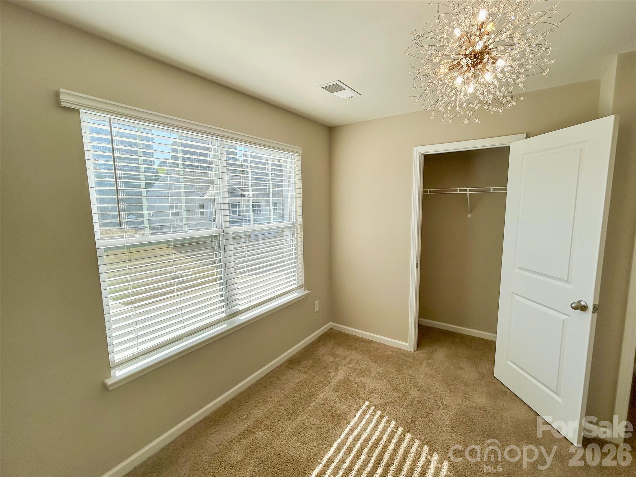 BR4 closet view - 182 Marathon Lane, Candler