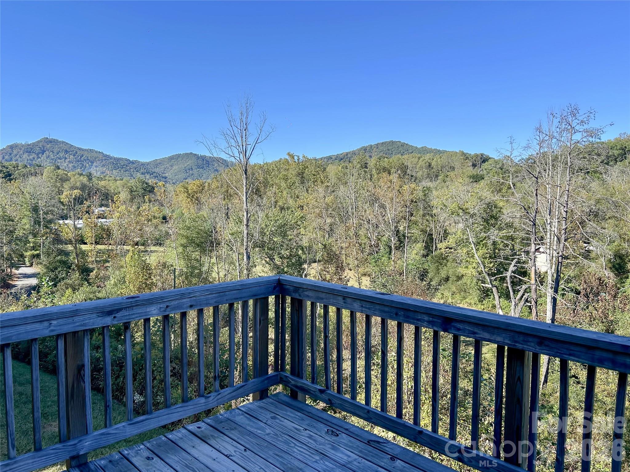 Long Range Mountain Views - 182 Marathon Lane, Candler
