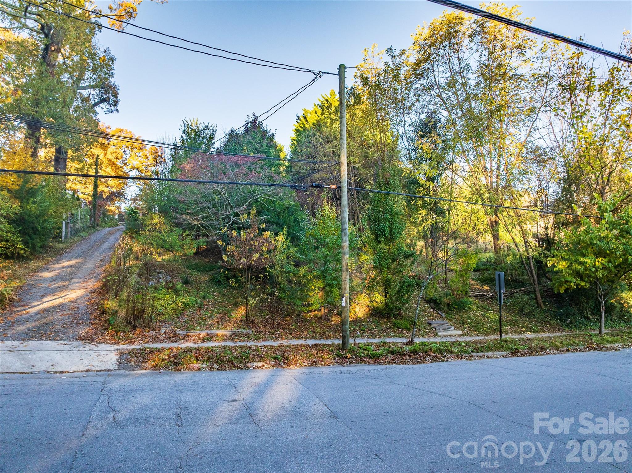 Lot at 273 S French Broad Avenue, Asheville, photo 5 of 11