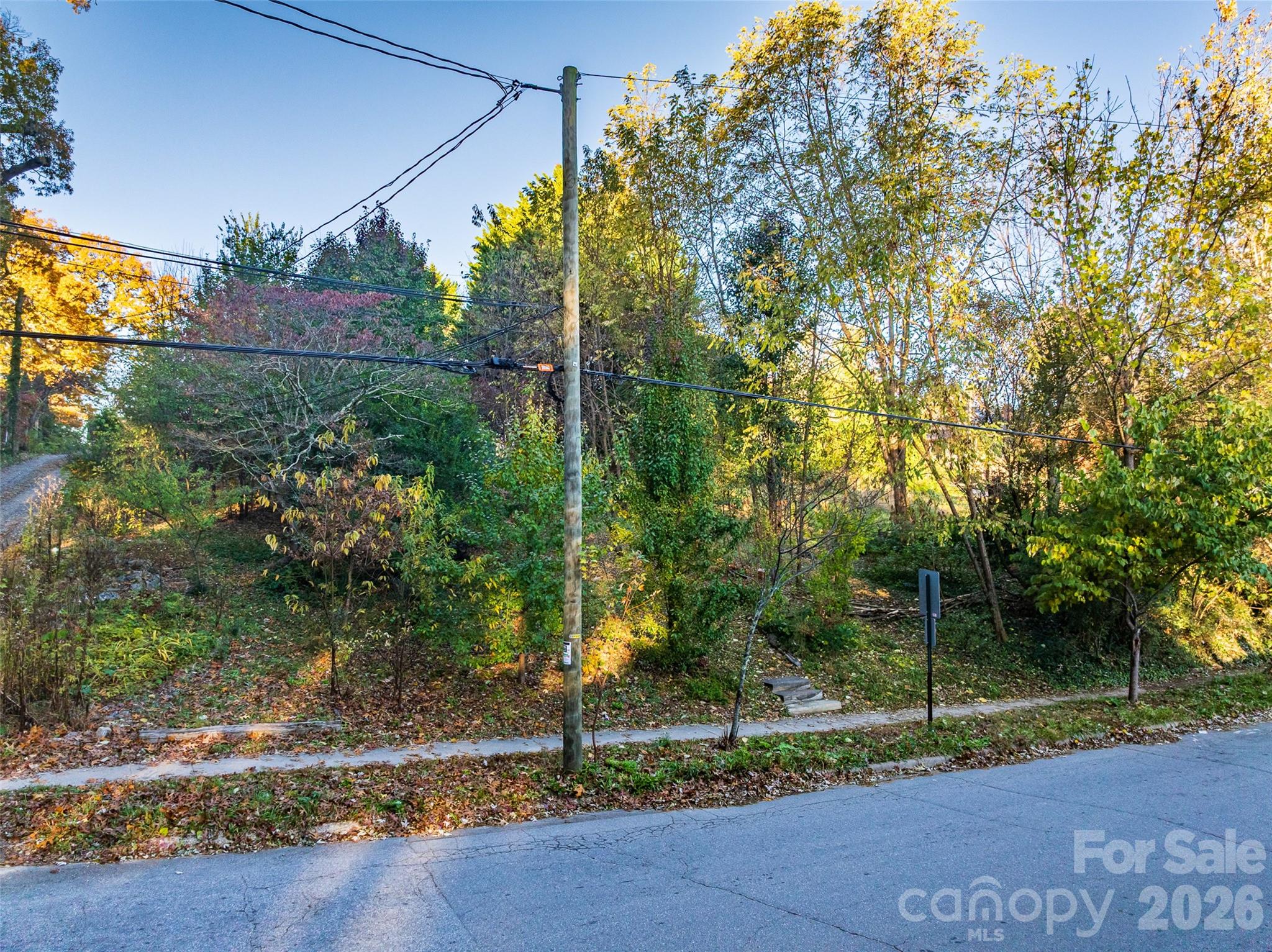 Lot at 273 S French Broad Avenue, Asheville, photo 10 of 11