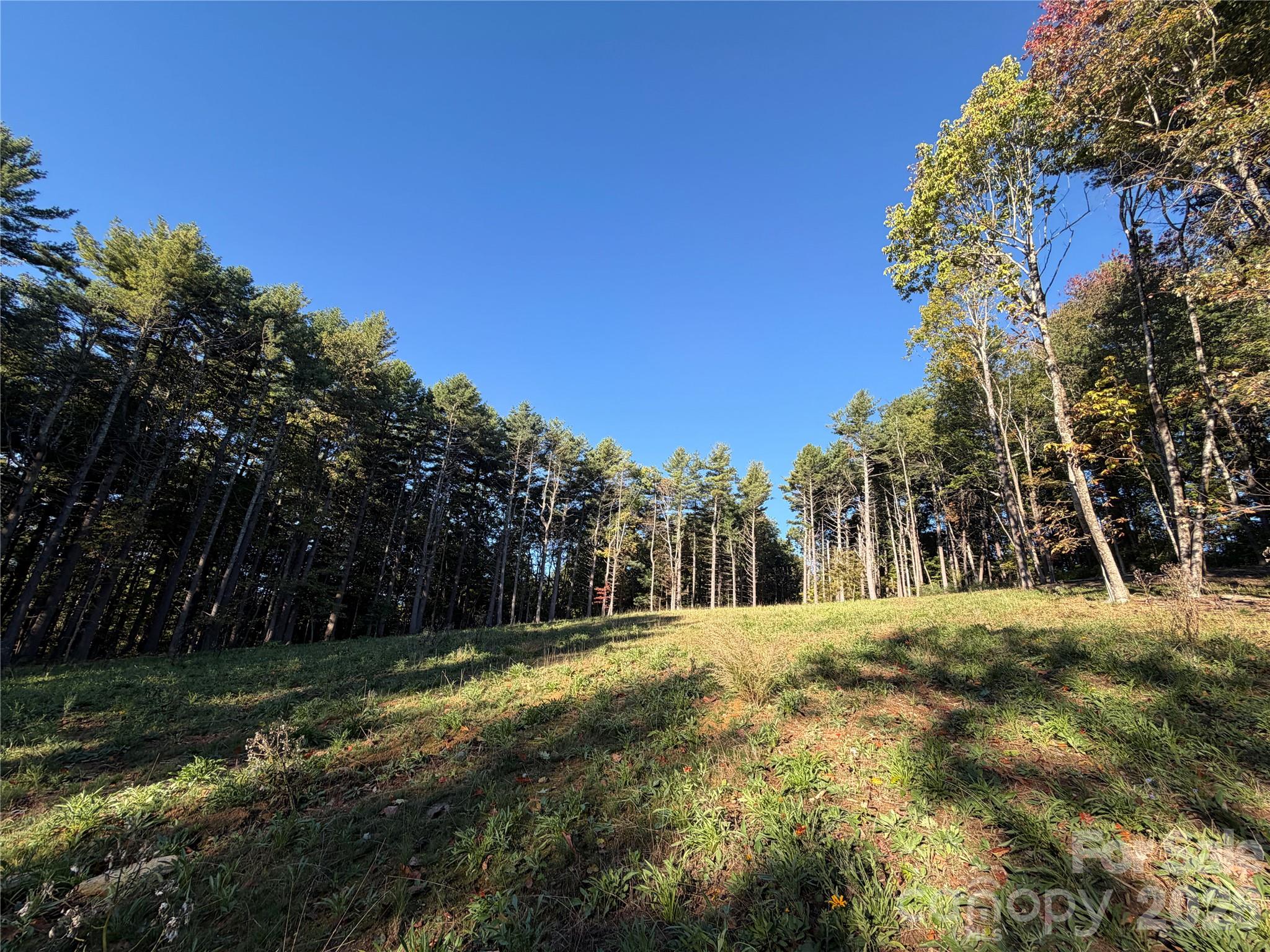 Meadow - 243 Ridgeline Drive, Brevard
