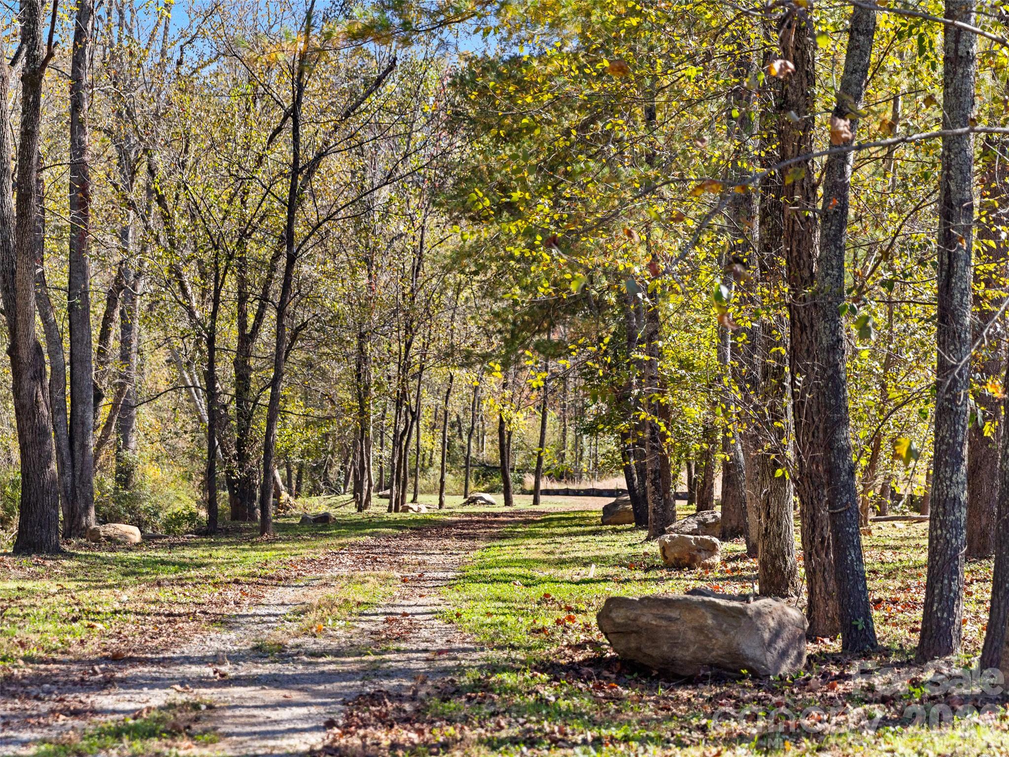 Scenic walking trail. - 194 Victoria Hill Drive, Arden