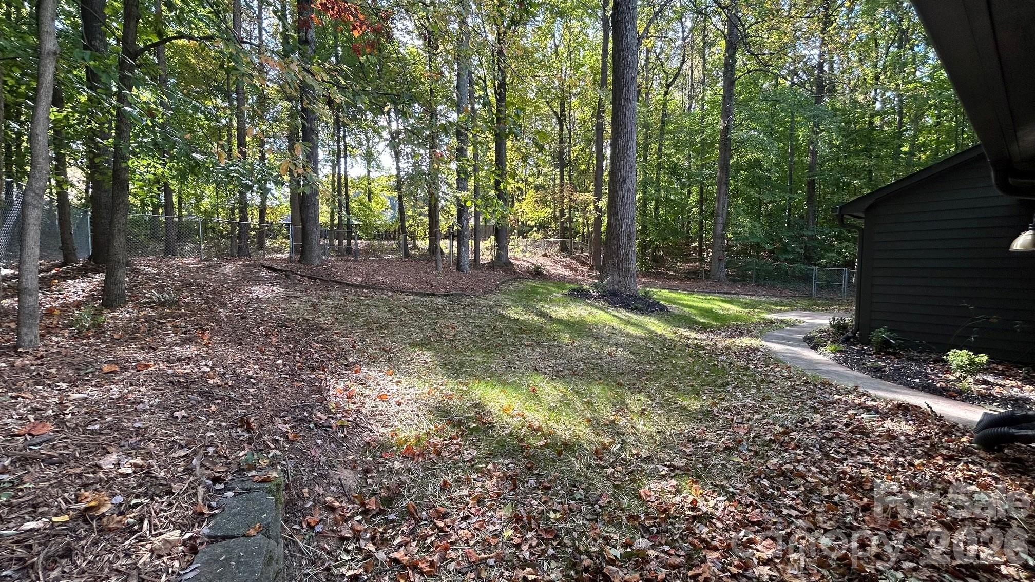 Serene Tree Lined Backyard With Section Fully Fenced In For Pets - 8001 Saddlehorse Lane, Charlotte