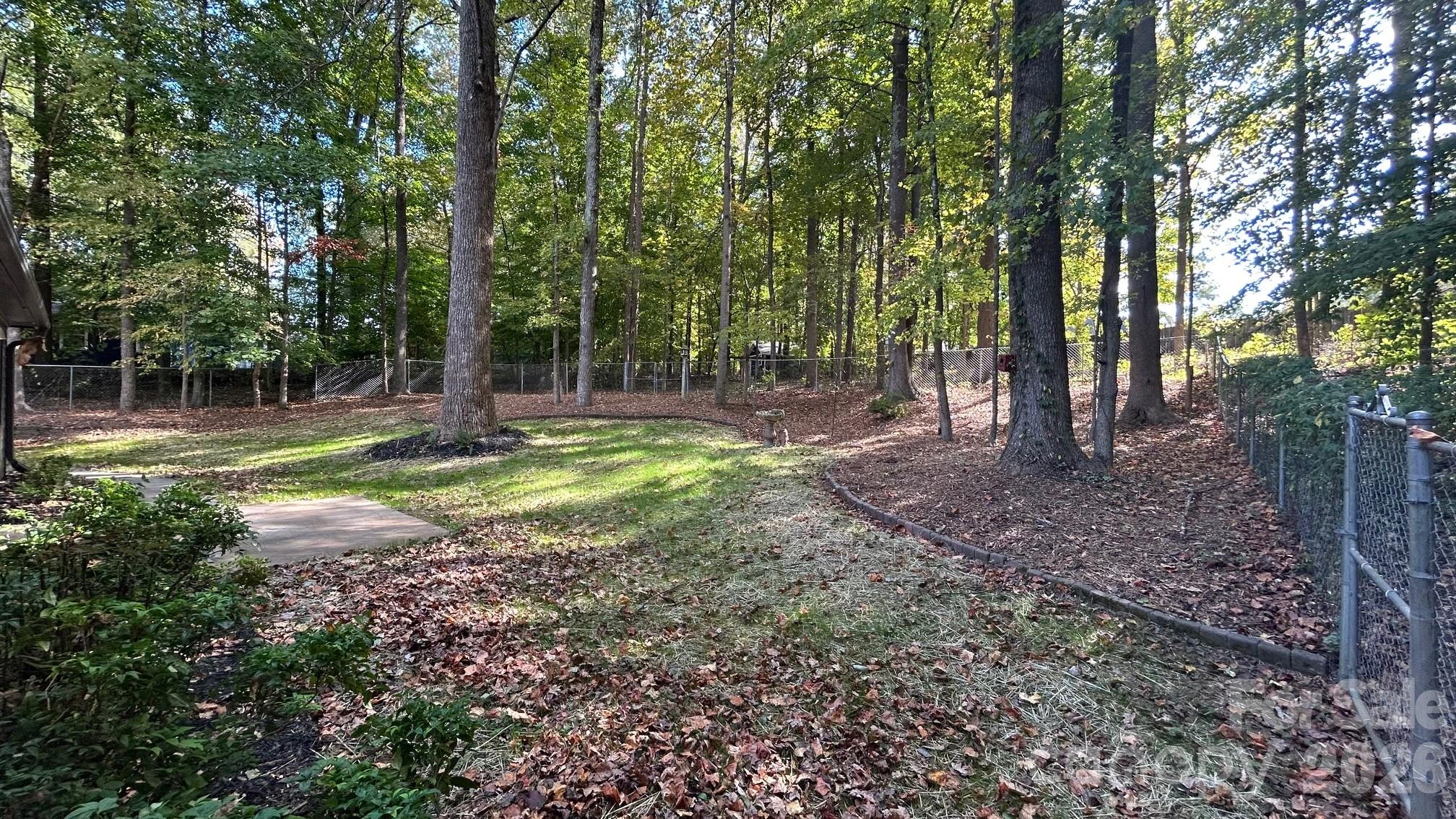 Property Line Extends Well Past Chain Link Fence - Gates Lead to Remaining Backyard - 8001 Saddlehorse Lane, Charlotte