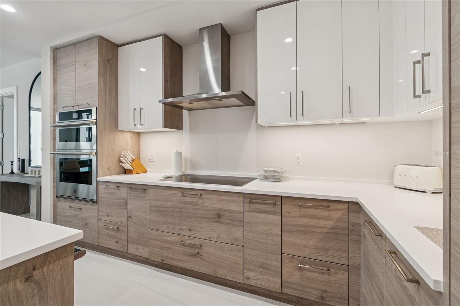 European cabinetry in Bough Oak Platinum - 301 1ST ST S #1007, ST PETERSBURG
