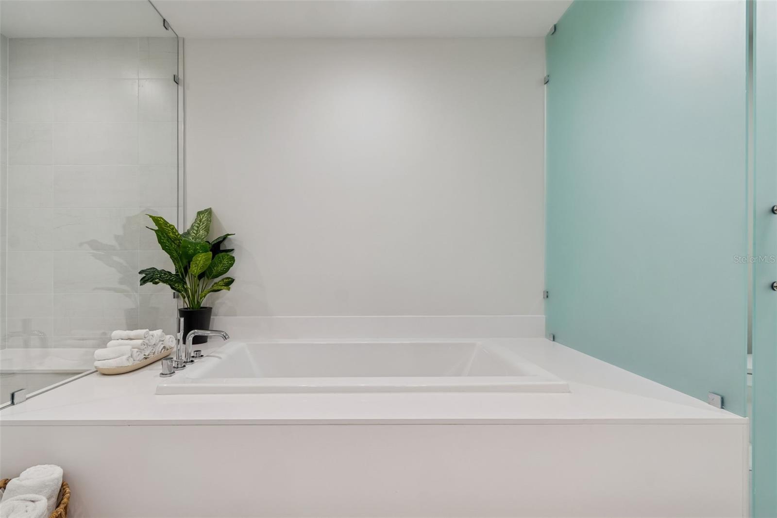 Condominium at 301 1ST ST S #1007, ST PETERSBURG, photo 39 of 52