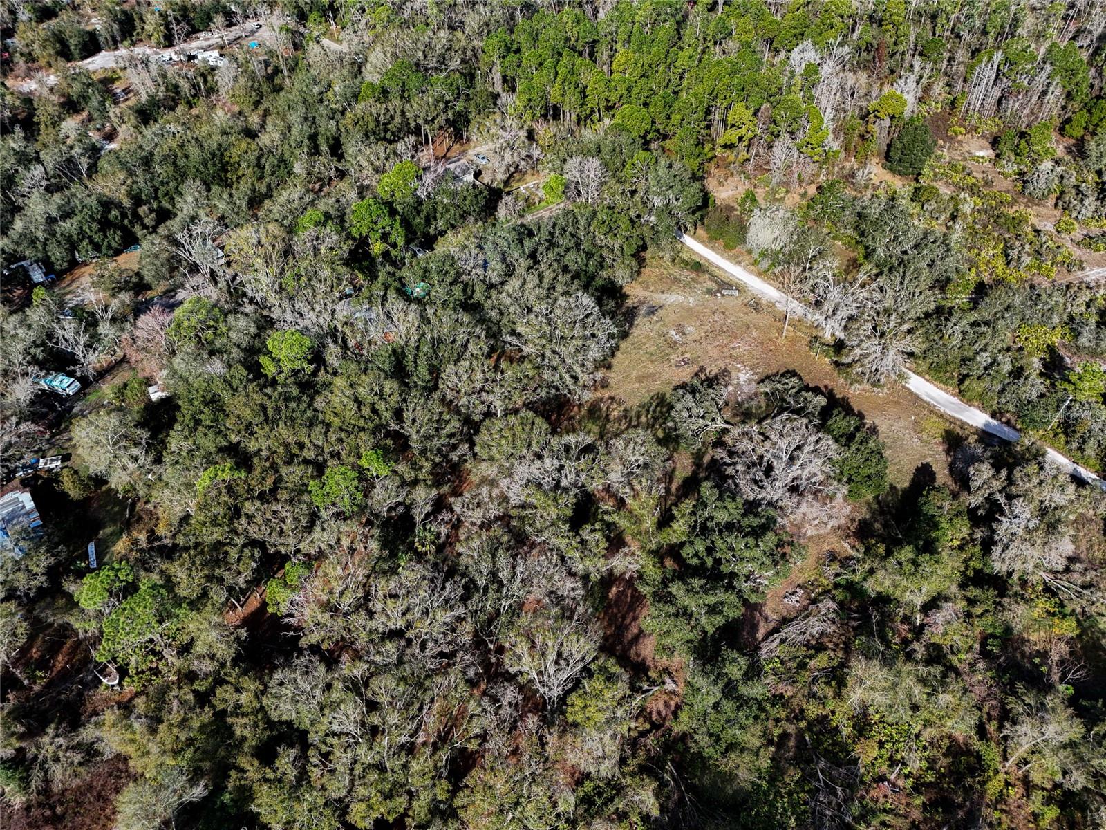 Land at 40550 SUTORUS RD, ZEPHYRHILLS, photo 4 of 9