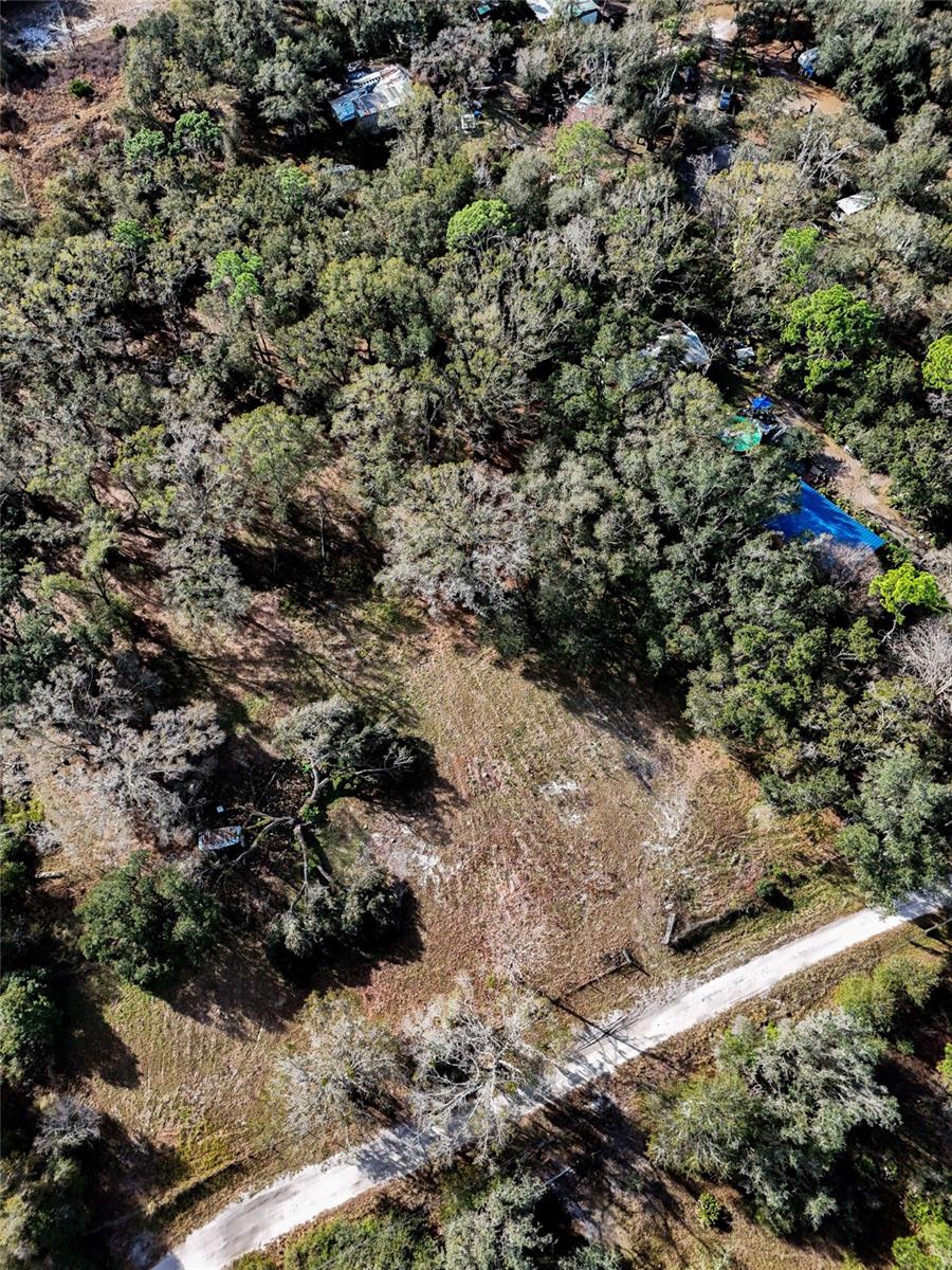 Land at 40550 SUTORUS RD, ZEPHYRHILLS, photo 8 of 9