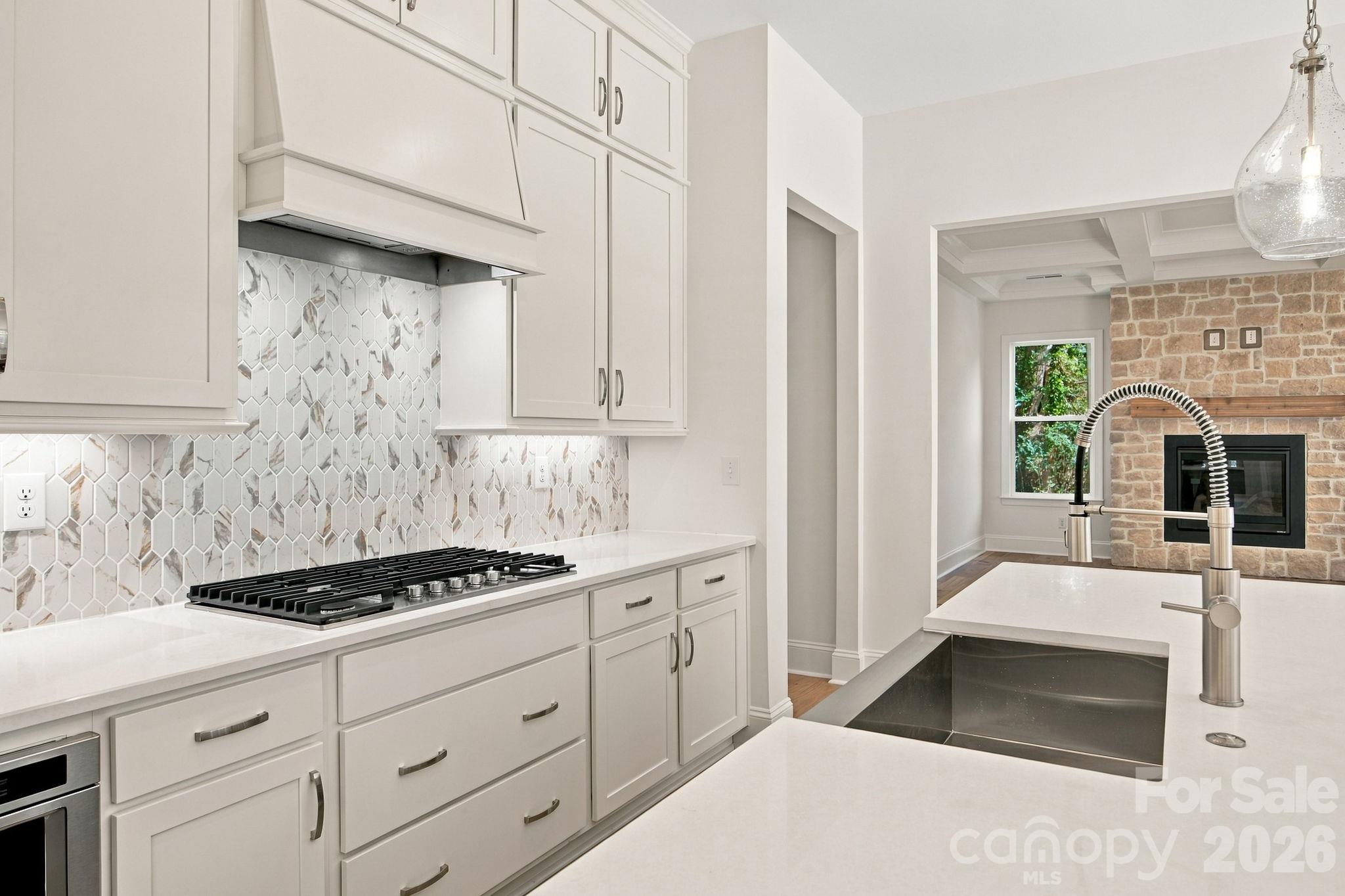 Single Family Residence at 20396 Queens Street, Cornelius, photo 28 of 78