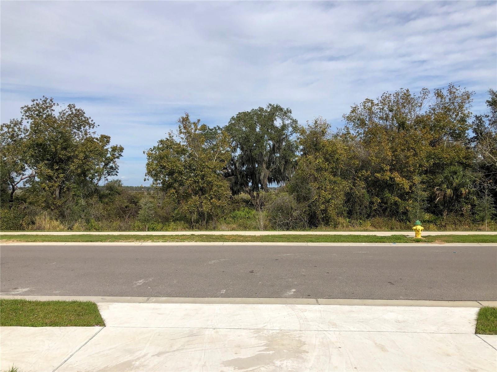 No neighbors to the front. - 9511 OGLETHORPE DR, GROVELAND