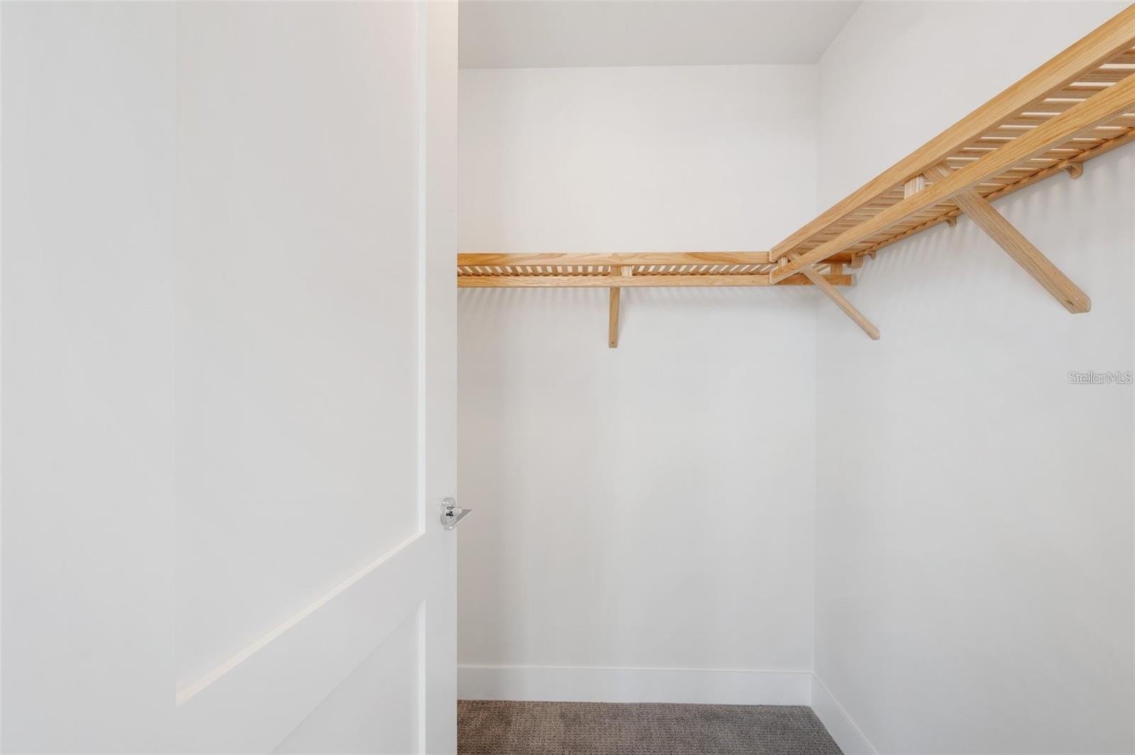 Dual walk-in closet - 301 1ST ST S #1007, ST PETERSBURG