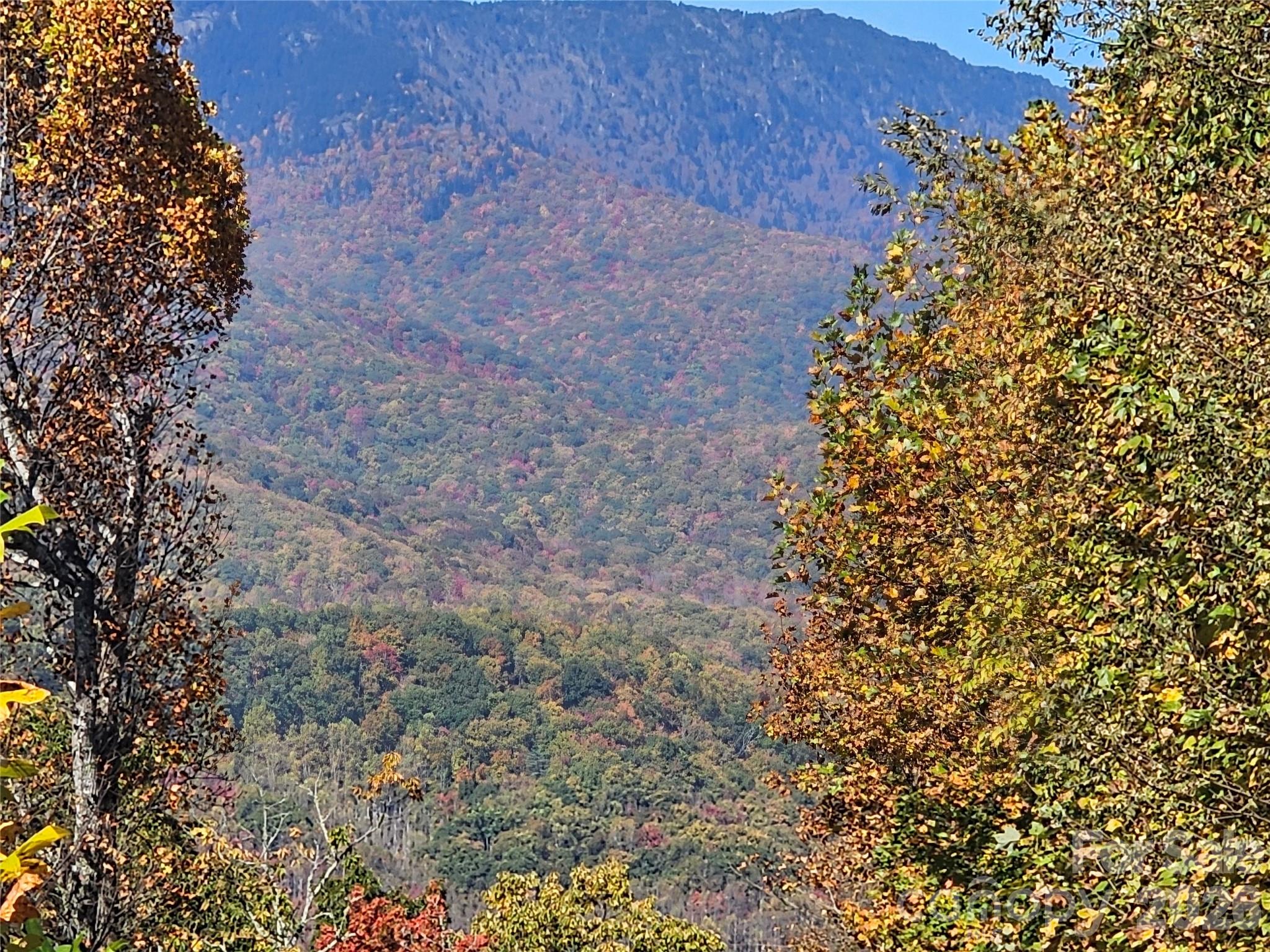102 Big Ridge Road
