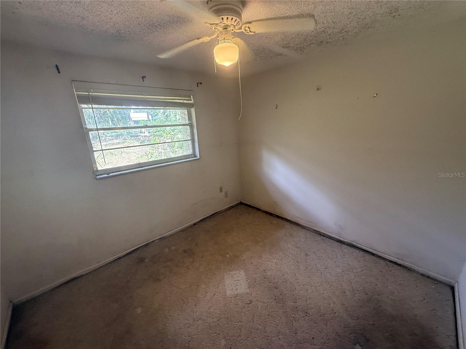 Single Family Residence at 2603 W 60 HWY, PLANT CITY, photo 8 of 20
