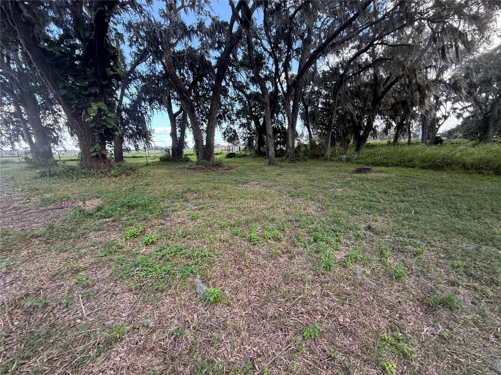 Single Family Residence at 2603 W 60 HWY, PLANT CITY, photo 18 of 20