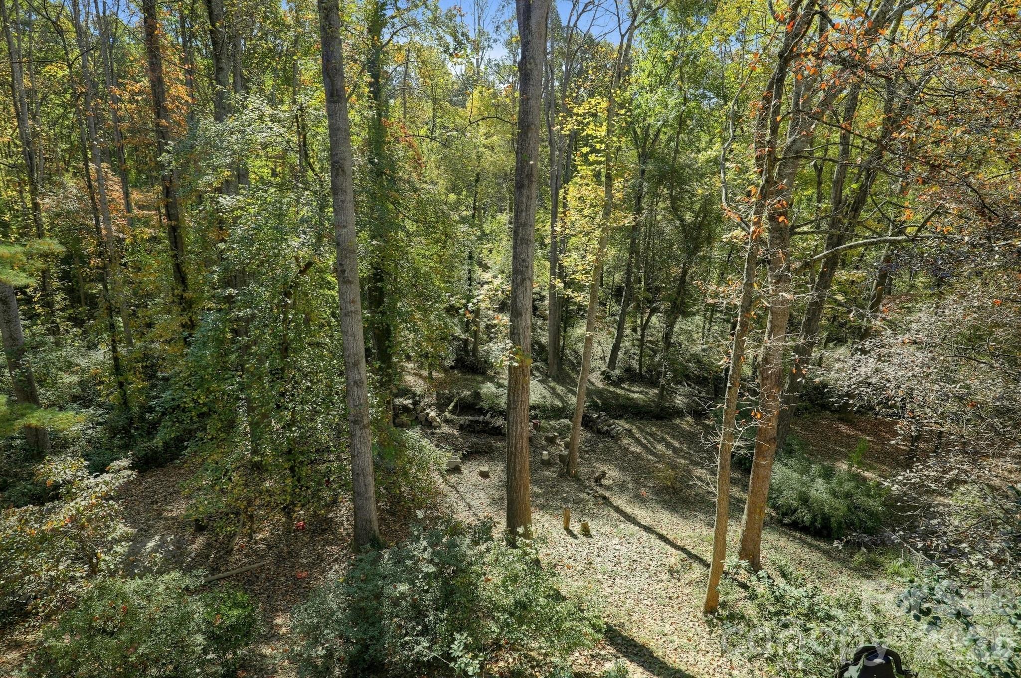 Single Family Residence at 27 Stockwood Road, Asheville, photo 26 of 41