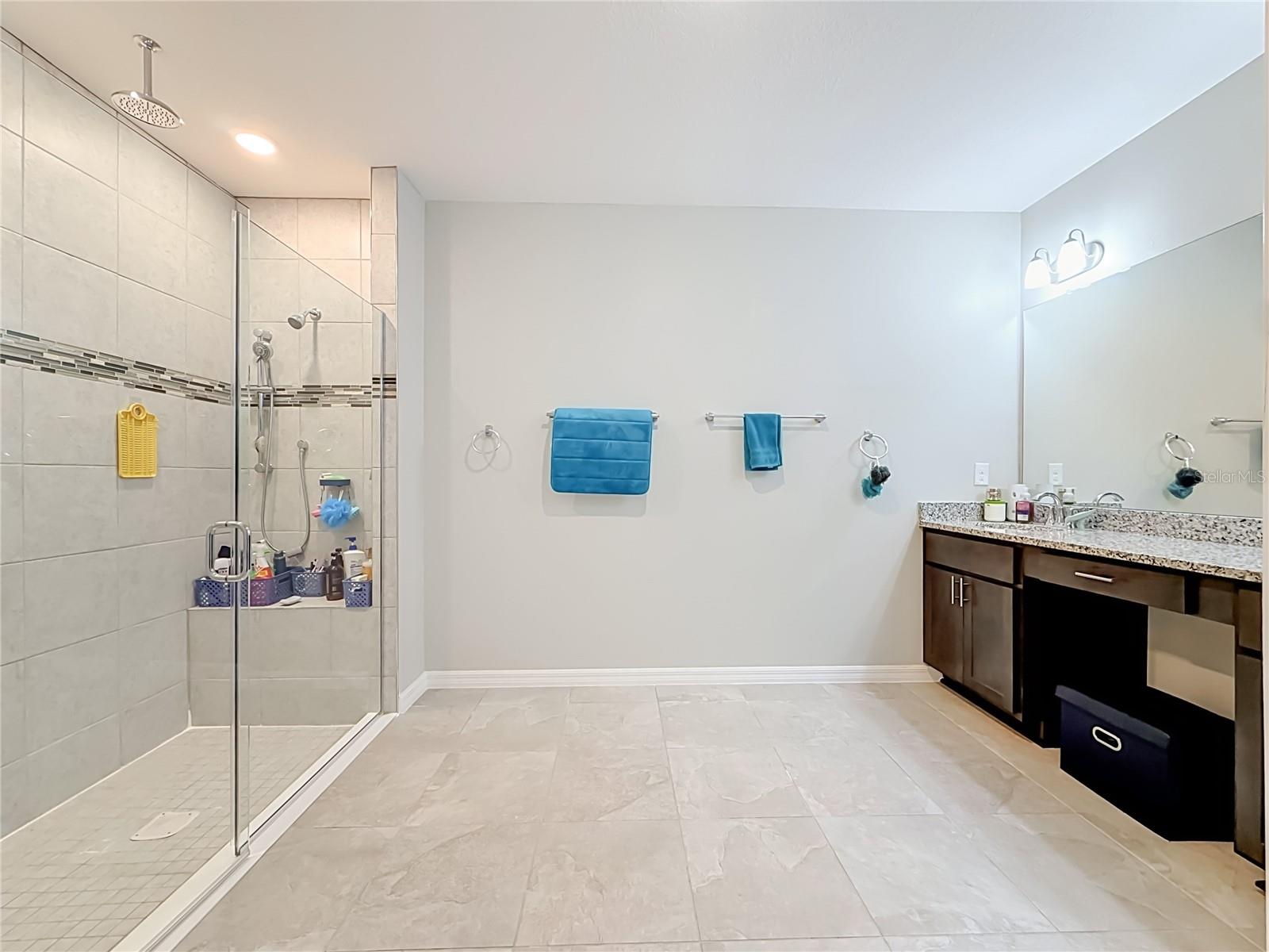 Primary En Suite - 7333 MILLSTONE ST, SPRING HILL