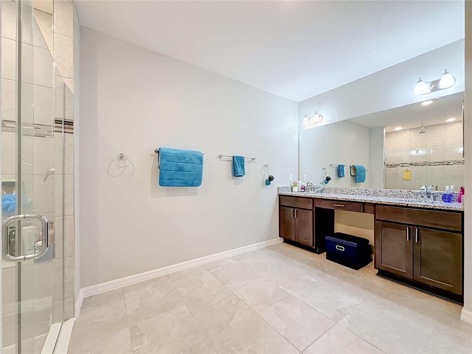 Primary En Suite - 7333 MILLSTONE ST, SPRING HILL