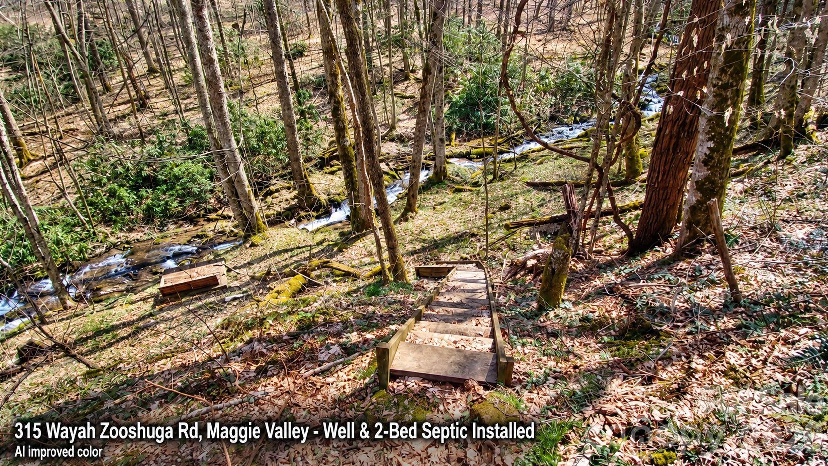 Lot at 315 Wayah Zooshuga Road, Maggie Valley, photo 2 of 20