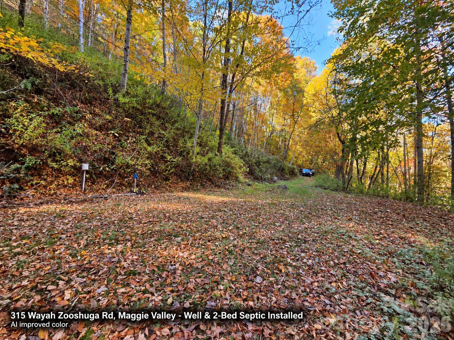 Lot at 315 Wayah Zooshuga Road, Maggie Valley, photo 6 of 20
