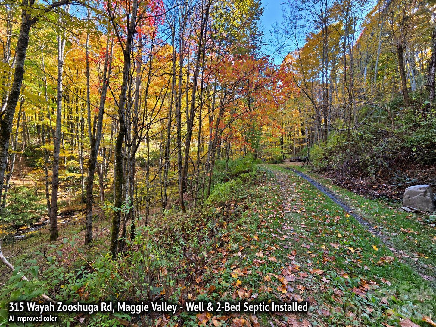 Lot at 315 Wayah Zooshuga Road, Maggie Valley, photo 10 of 20