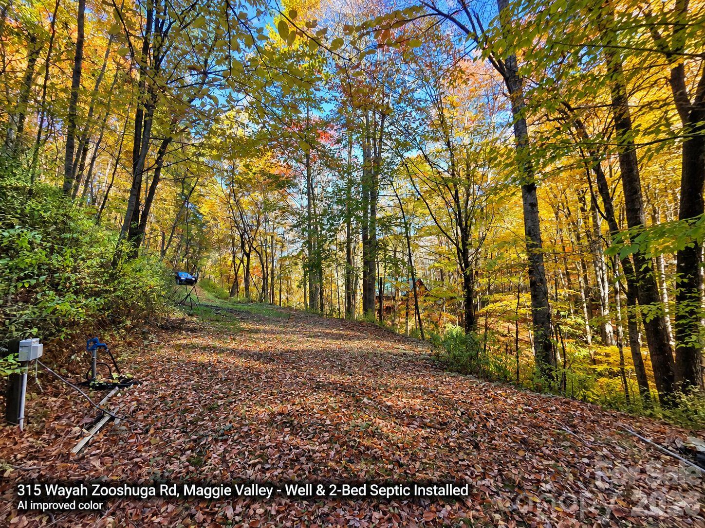 Lot at 315 Wayah Zooshuga Road, Maggie Valley, photo 13 of 20