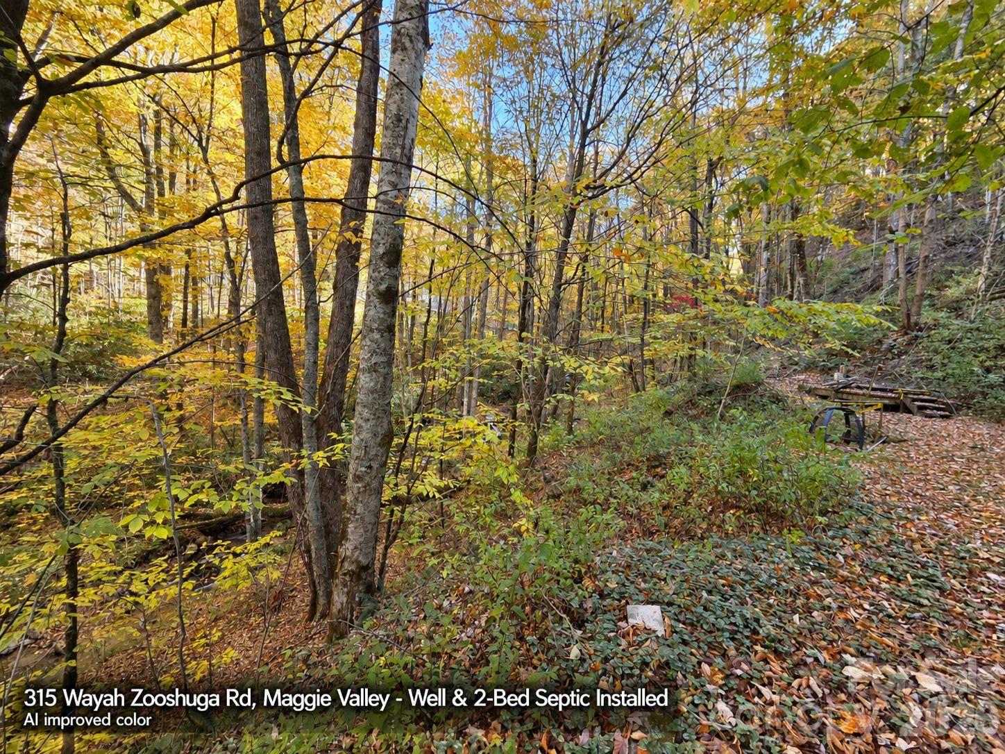 Lot at 315 Wayah Zooshuga Road, Maggie Valley, photo 14 of 20