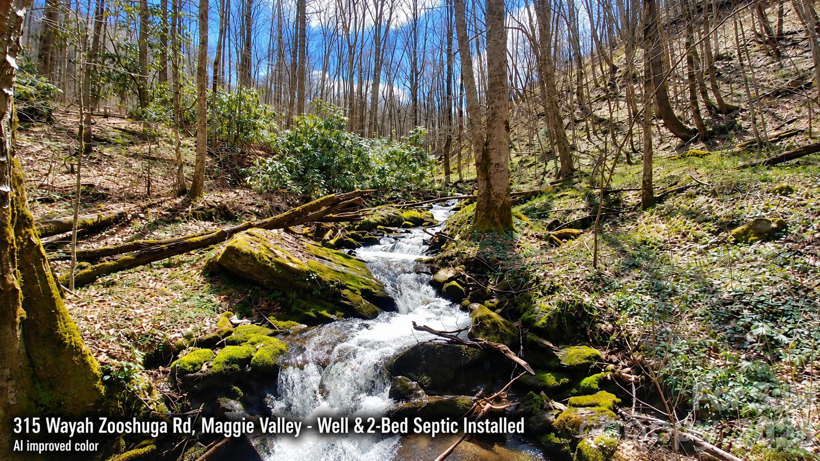 Lot at 315 Wayah Zooshuga Road, Maggie Valley, photo 16 of 20