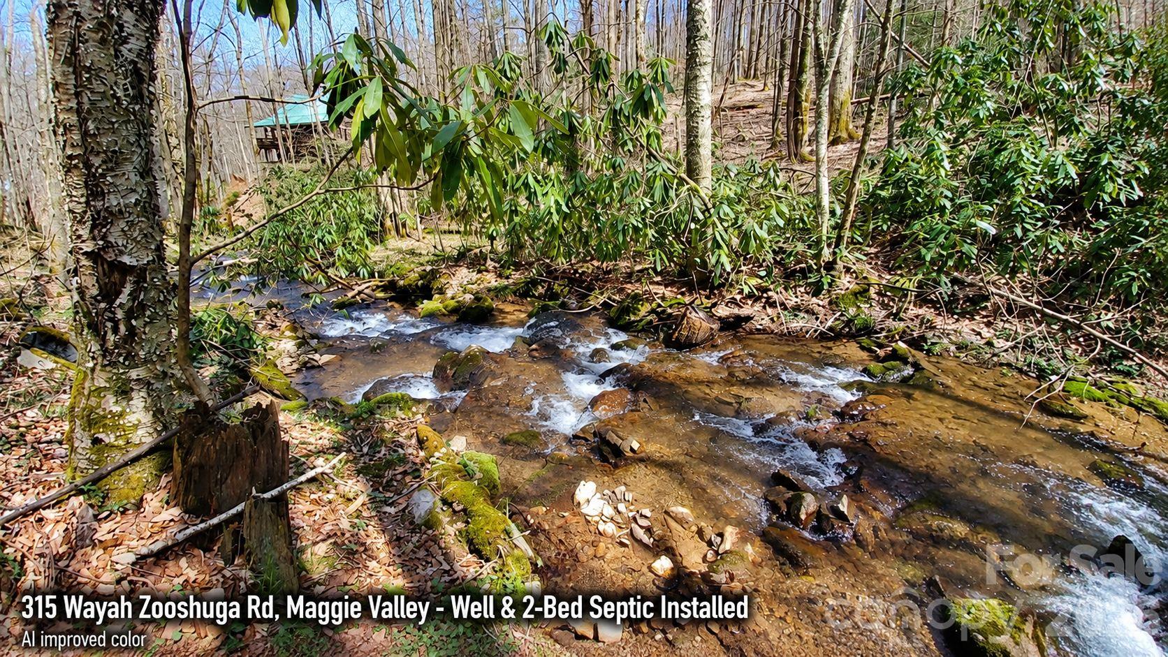 Lot at 315 Wayah Zooshuga Road, Maggie Valley, photo 17 of 20
