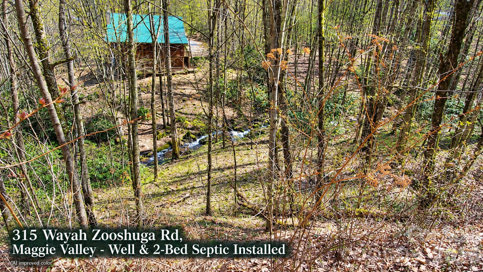 Lot at 315 Wayah Zooshuga Road, Maggie Valley, photo 18 of 20