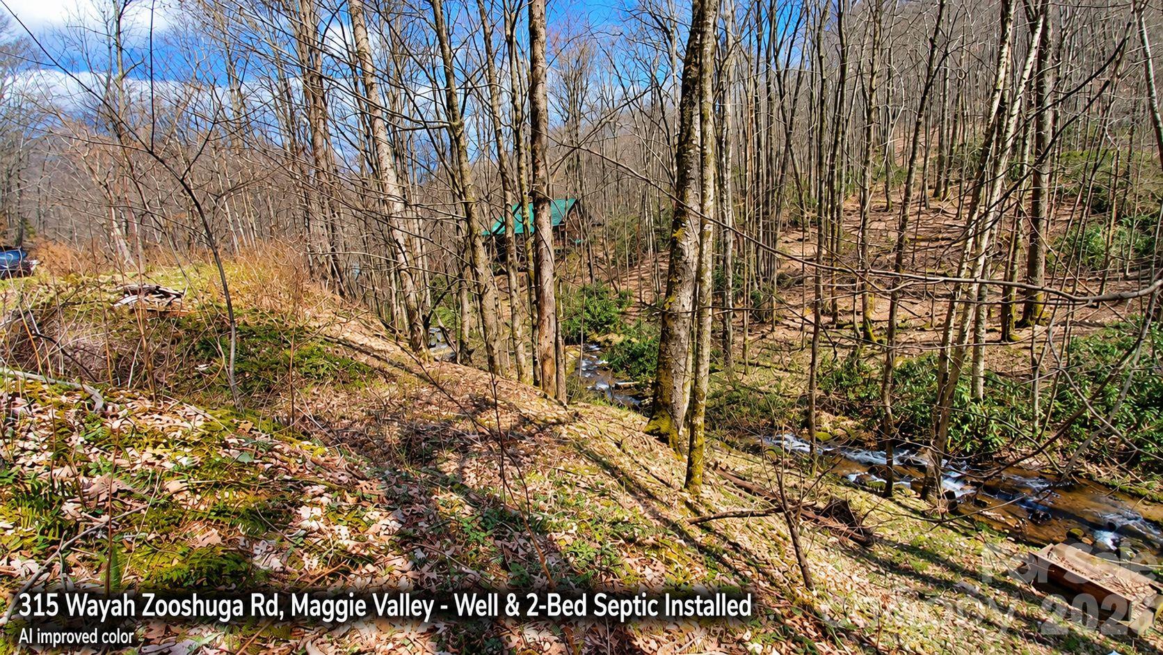 Lot at 315 Wayah Zooshuga Road, Maggie Valley, photo 19 of 20