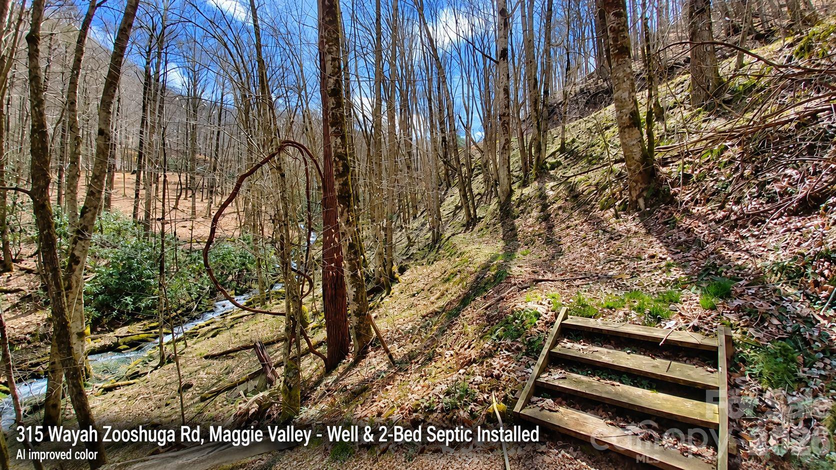 Lot at 315 Wayah Zooshuga Road, Maggie Valley, photo 20 of 20