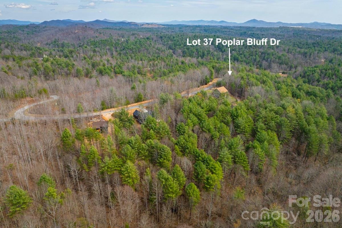 Lot at 3.31 acres, Lot 37 Poplar Bluff Drive SE, Lenoir, photo 8 of 48
