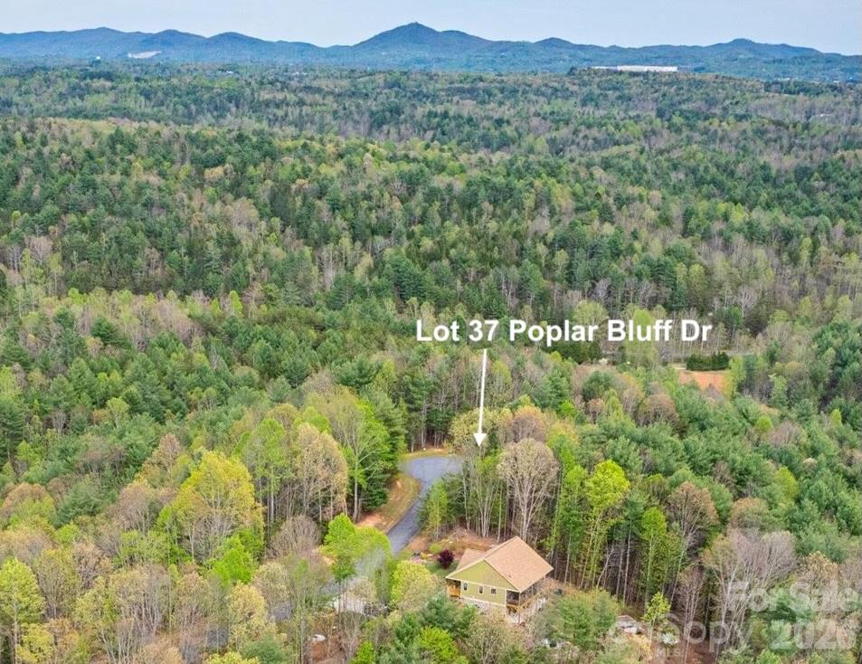 3.31 acres, Lot 37 Poplar Bluff Drive SE