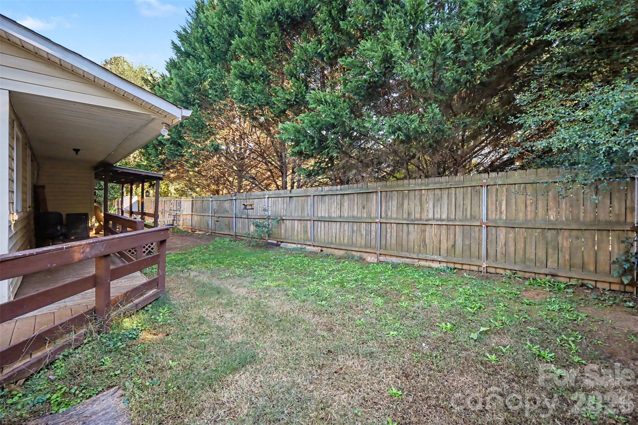 Backyard - 206 Ferstl Avenue, Belmont