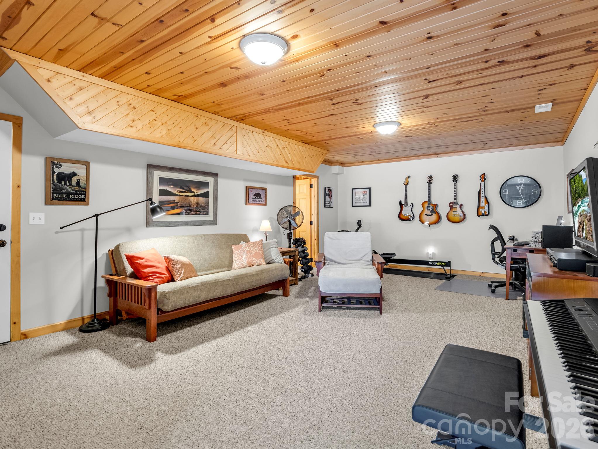 Finished basement space (can be 4th bedroom, office, hobby space) - 376 Scarlet Tanager Court, Arden