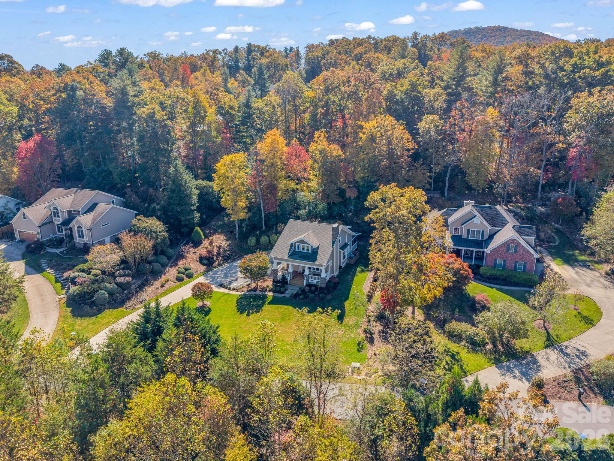 Aerial view, spacious front yard and beautiful landscaping - 376 Scarlet Tanager Court, Arden