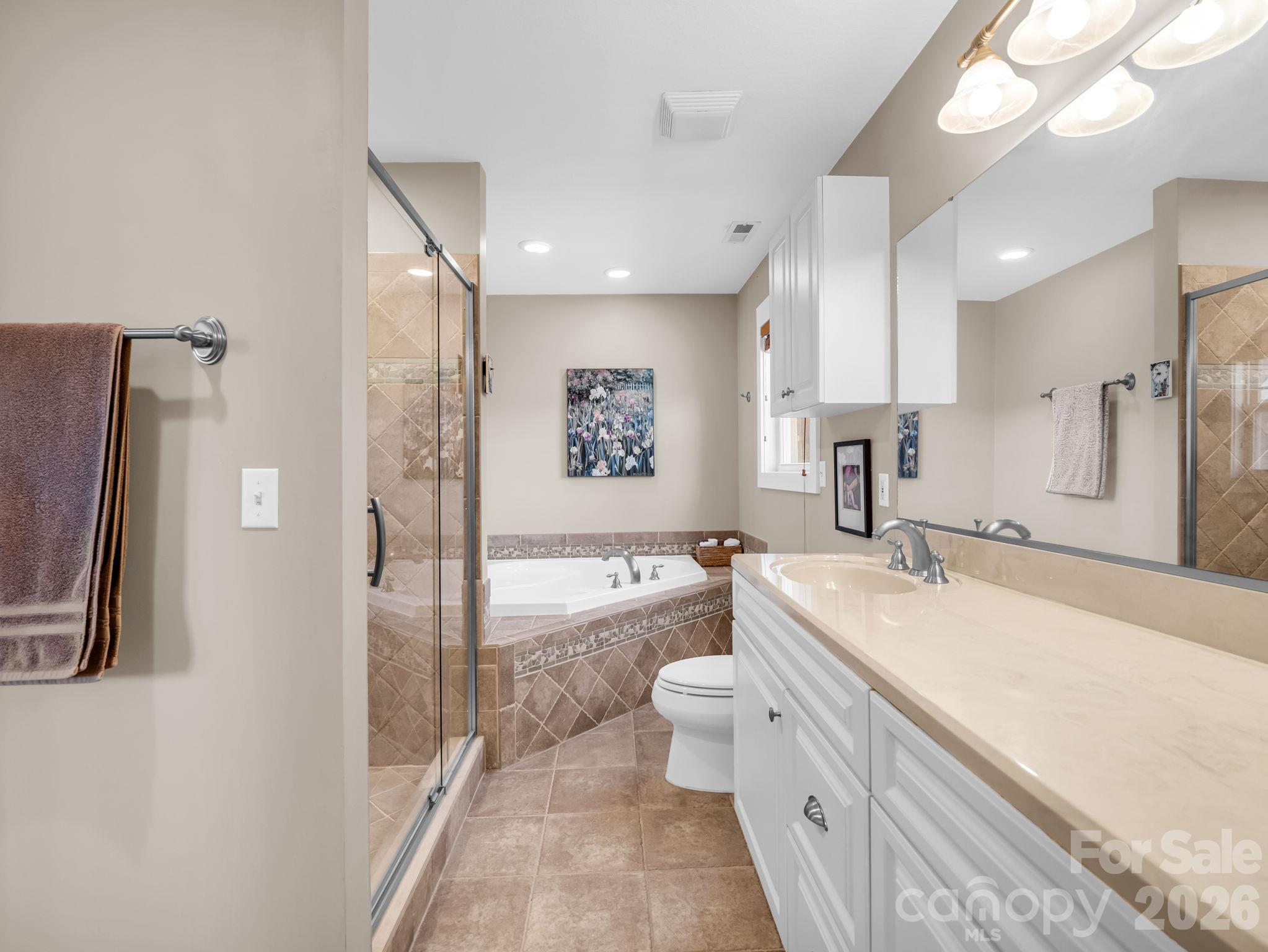 Spacious primary bath - 376 Scarlet Tanager Court, Arden