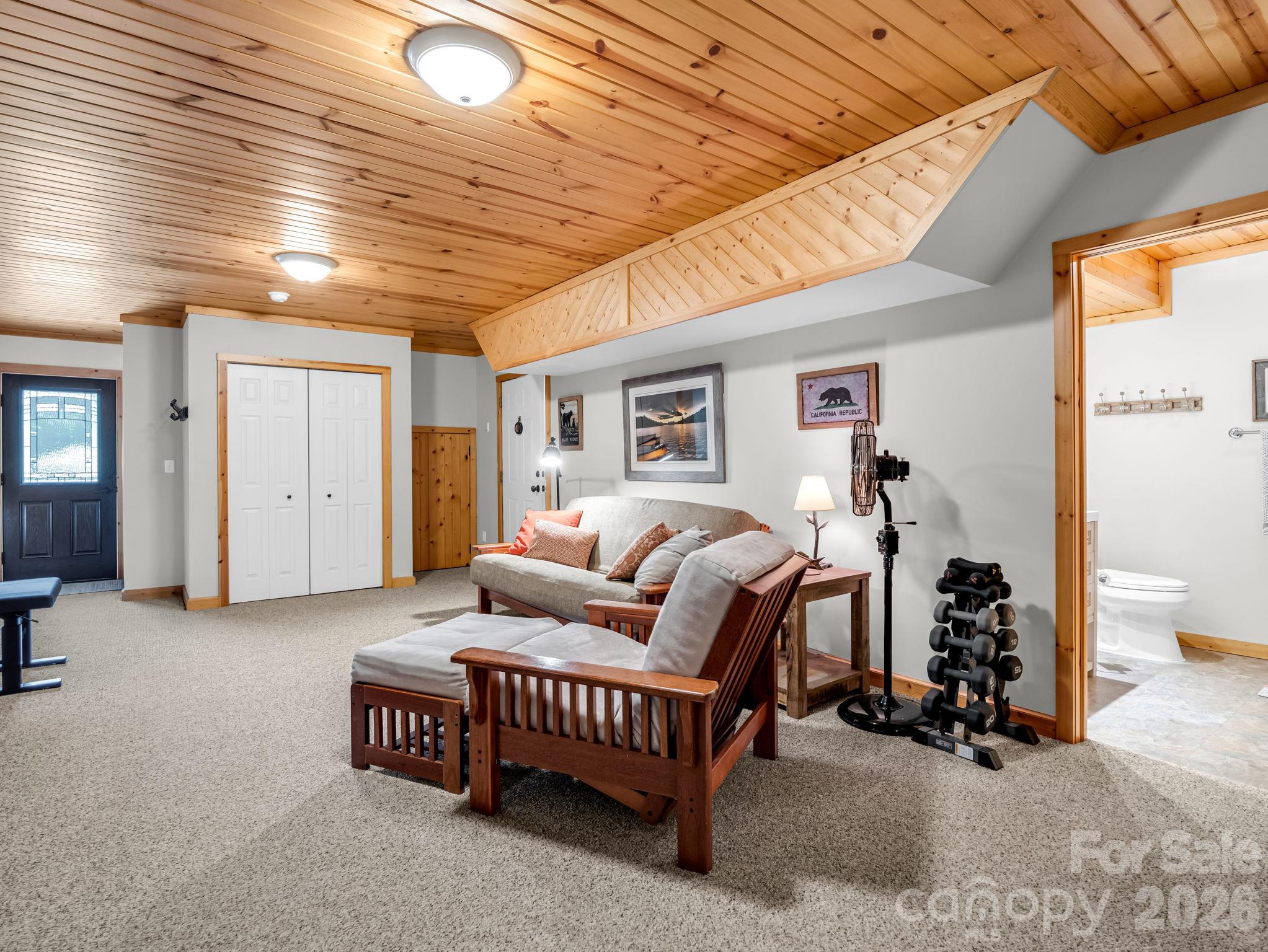 Finished basement (to be used as a 4th bedroom, hobby space, office) - 376 Scarlet Tanager Court, Arden
